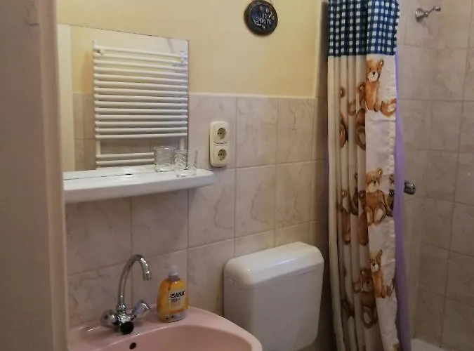 Pensjonat Istvan Vendeghaz *