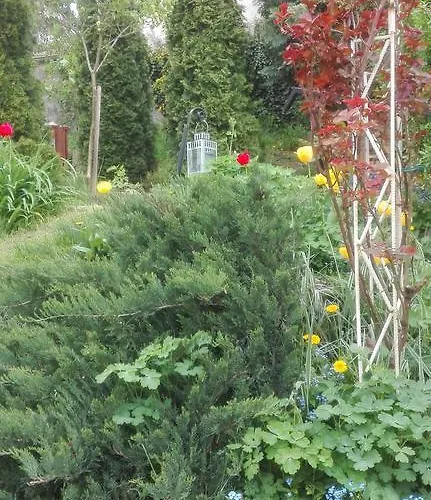 Istvan Vendeghaz * Eger